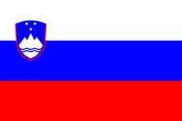 Slovenian Flag