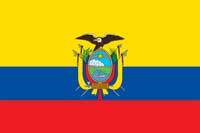 Venezuelan Flag